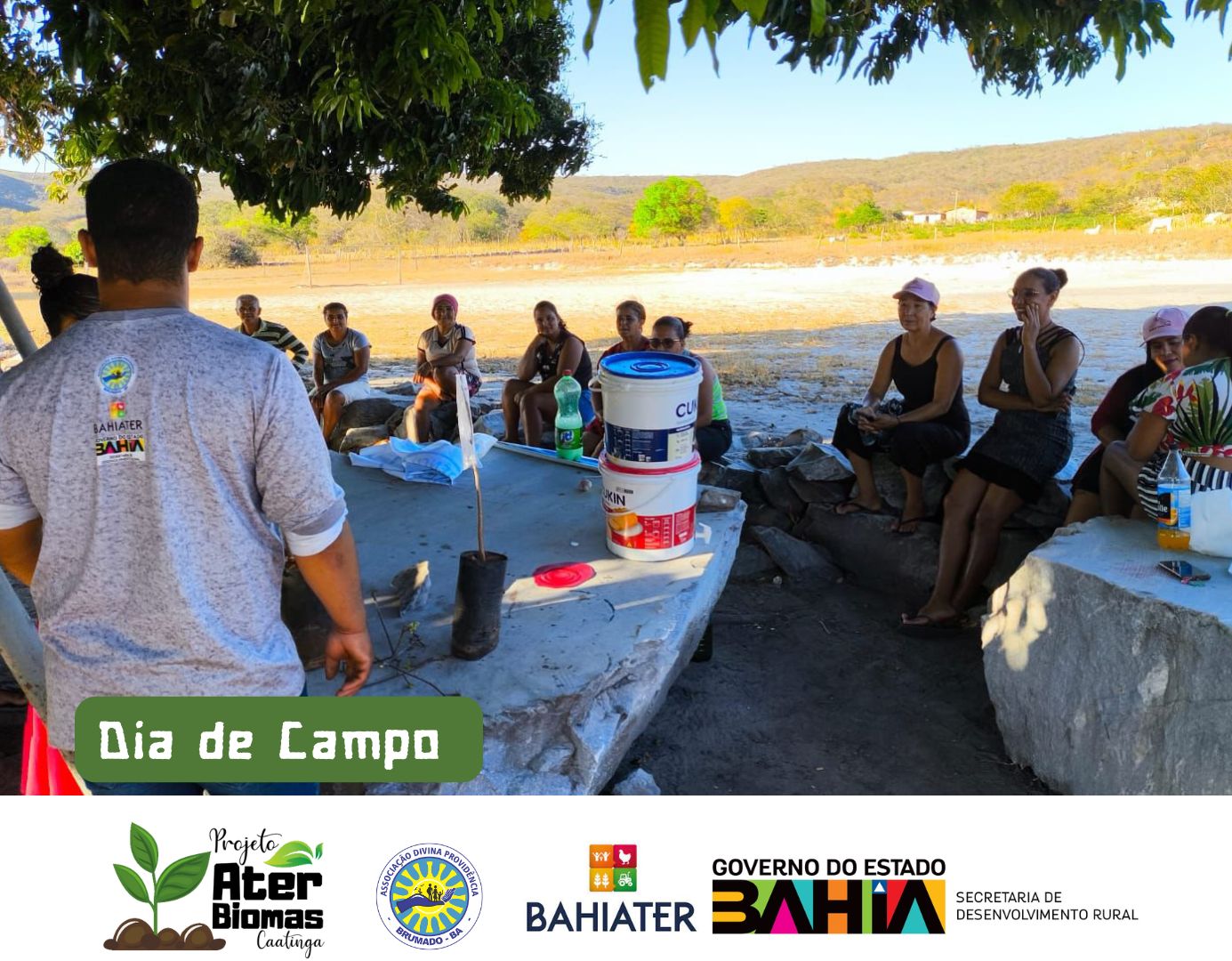 ATER Biomas: Dia de Campo na Comunidade de Piedade e de Fora, em Boquira, promove técnicas sustentáveis de agricultura familiar