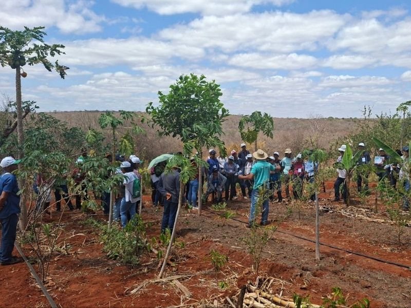 Divina Providência promove Intercâmbio Intermunicipal de Saberes e valoriza práticas agroecológicas no Semiárido