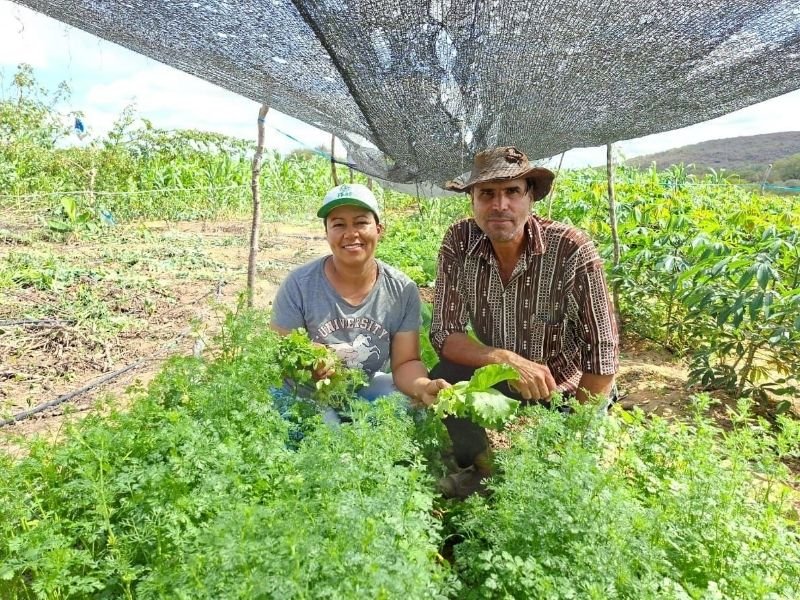 4ª Feira da Agricultura Familiar e Economia Popular Solidária de Brumado e Região será realizada em junho